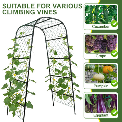 PHENEAHILL Extra Tall Garden Arch Trellis for Cucumber, Heavy-Duty Rust-Resistant Powder-Coated Steel, Vertical Support for Large Vining Vegetables (47”W x 79”H)