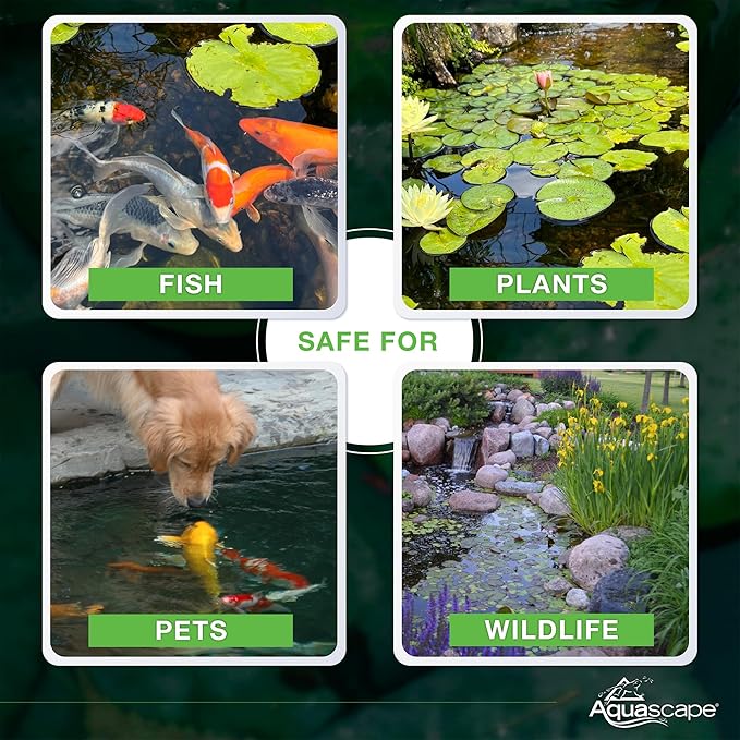 Aquascape Dry Beneficial Bacteria for Pond and Water Features, 4.4-Ounce | 98925,White