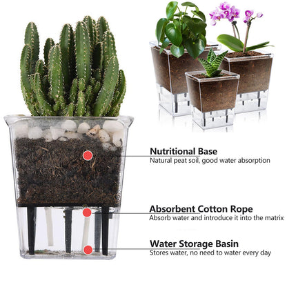 IWNTWY Self Watering Pots Set, 3 Pack 5/4.1/2.7 Inch Self Watering Pot for Indoor Plants, Clear Flowers Pot Planter with Deep Reservoir for Spider Plant, Orchid, African Violet