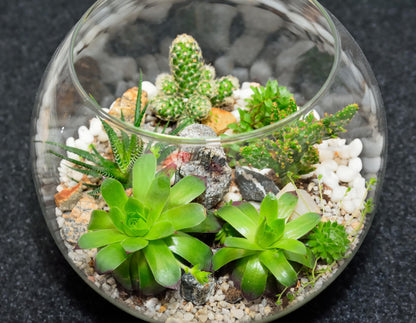 Sawysine 12 Pcs Bubble Bowl Vase Centerpiece 6''W x 5''H Round Glass Flower Vase Bulk Clear Terrarium Fish Bowl for Wedding Event Goldfish Planter Floral Centerpiece Office Home Decor