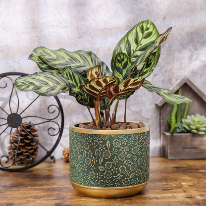 Ten-stone 6 +4.4 Inch Cement Planter Decorative Pots with Drainage Hole for All House Plants, Succulents, Flowers, and Cactus (Green)