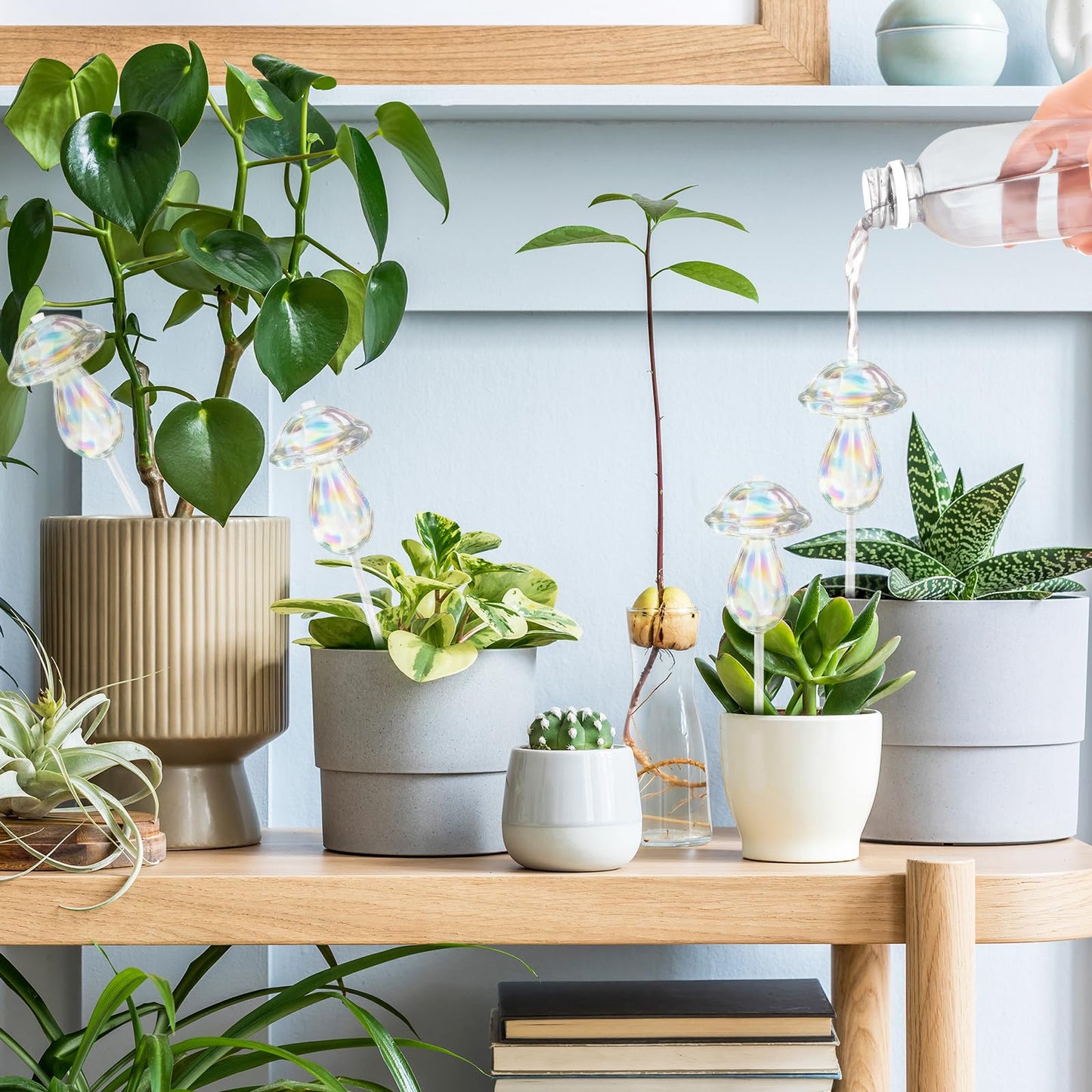 youcoscos 4pcs Plant Watering Globes Self Watering Planter Insert Devices,Glass Watering Bulbs Mushroom Pattern Watering Globes for Indoor Plants Top-Fill Watering Rainbow Colors (Mushroom with Hole)