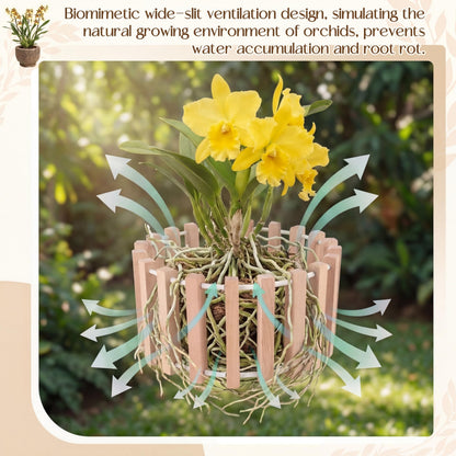 Yiyiring 2 Pcs Hanging Orchid Pots with Holes, Wooden Orchid Planter with Hangers, 8 & 10 Inch Rustic Specialist Pots for Vanda Oncidium Cattleya, Solid Beech Wood Slatted Basket