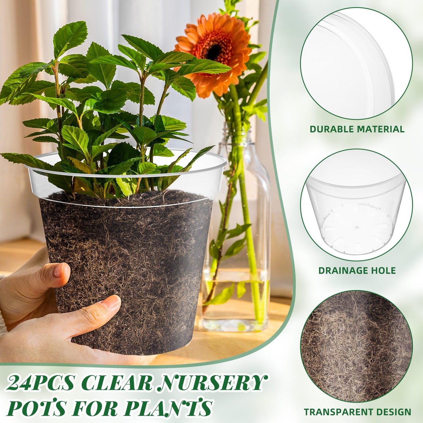 Maxcheck 24 Pcs Clear Nursery Pots with Drainage Holes Pack, Large Transparent Plastic Orchid Pots for Repotting Indoor Plants, Heavy Duty Planter for Monstera, Aroids, Root Observation (8 Inch)