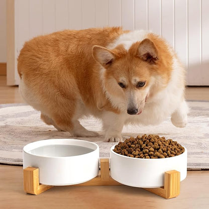 Mowtanco White Ceramic Dog & Cat Bowl Set – 13.5 OZ with Wooden Stand, Non-Slip, Elevated Design for Small Dogs & Cats – 2 Bowls (Food & Water, Ceramic Pet Bowls, Modern Dog Bowls)