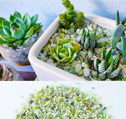 18lb Jade Bean Pebbles,1/4 Inch Cactus Bonsai DIY Rocks, Natural Succulent Rock and River Rocks Decorative for Aquariums, Vases, Terrarium, Outdoor Gardening, Top Dressing for Potted Plants