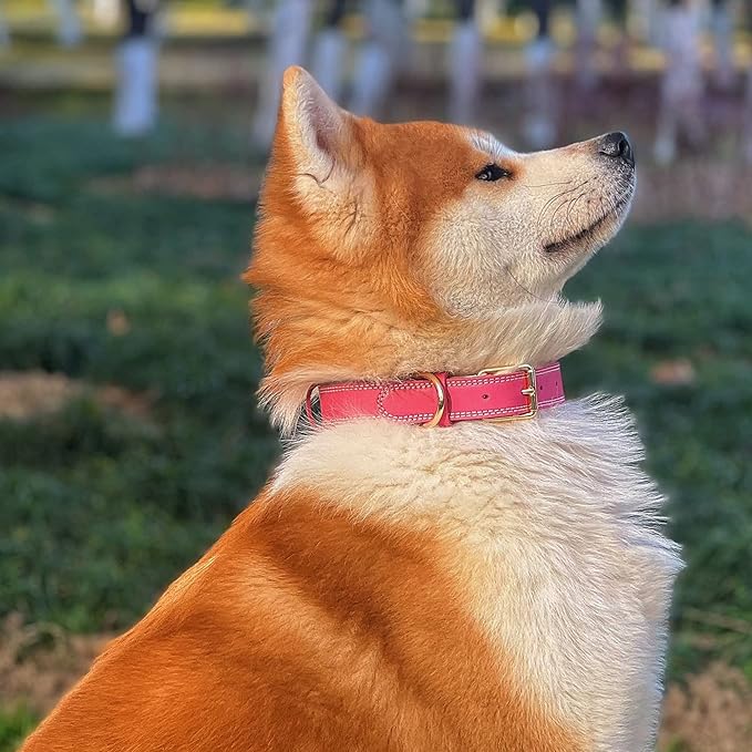 Genuine Leather Dog Collar, Heavy Duty Wide Dog Collar for Small, Medium, Large and Extra Large Dog (XL: 1.4" Wide for 18.6"-25.8" Neck, Dual Stitch - Pink)