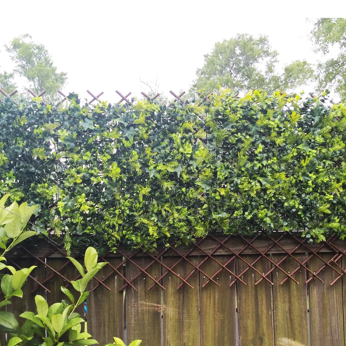 Expandable Garden Trellis Plant Support Willow Lattice Fence Panel for Climbing Plants Vine Ivy Rose Cucumbers Clematis 36X92 Inch