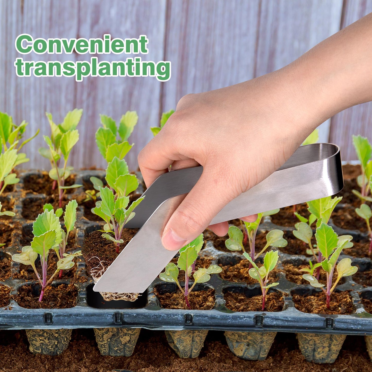 2 Pcs Seedling Transplant Tongs- 6.7 Inch Stainless Steel Gardening Plants Transplant Tongs- Seedling Remove Transplant Pliers for Reducing Root Damage
