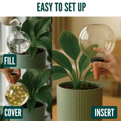 19 oz Extra Large Plant Self Watering Globes Top Fill, LED Night Light Classic Globe Plastic Water Bulbs, Automatic Plant Waterer for Indoor Outdoor Houseplants, Slow Release Planter Insert, 2 Pack