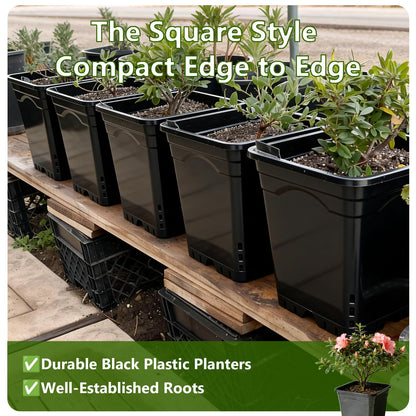 CHTASO HG12X12SW 20 Pack 6 Gallon Large Square Nursery Pots, 12 x 12 Inch Black Plastic Plant Nursery Pots Garden Planter for Planting Flowers