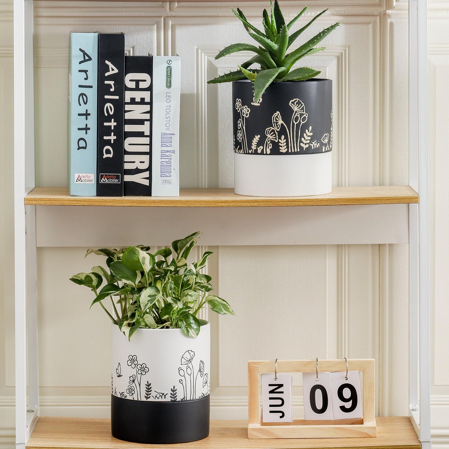 Nihow Self Watering Plant Pot: 6 Inch Ceramic Planter with Drainage Hole & Water Storage Plus for Indoor & Outdoor Plants - Cylinder Round Flower Pot for Succulent/Herbs/Violets -White