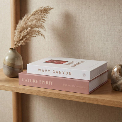 MAOBUYOU Elegant Decorative Book Boxes Set of 2 - Hidden Storage for Coffee Table, Bookshelf, Living Room Decor