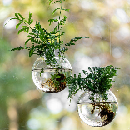 Window Propagation Stations, Oblate Glass Terrariums Planter with Suction Cup Hook, Wall Hanging Planters for Hydroponics Plants, Home, Office, Bathroom, Living Room Decor, Gift for Plant Lovers (2)