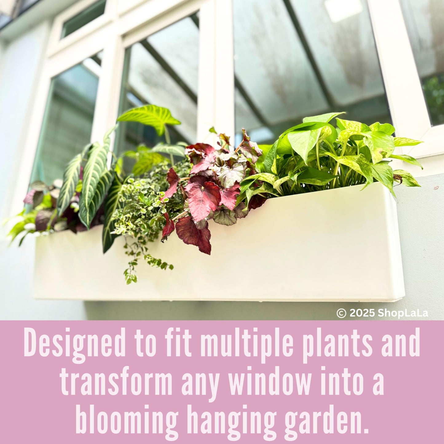 LaLaGreen Planter Boxes Outdoor (40 Inch, 1 Pack) Rectangular Self Watering System Window Flower Boxes with Bracket, Large White Planters Vertical Plant Container Hanging Wall Mount Indoor Succulents