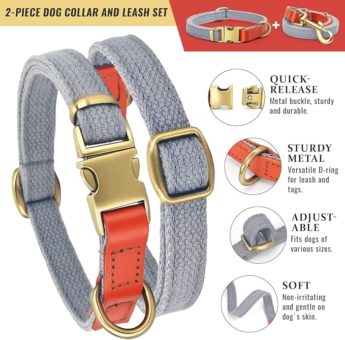 Dog Collar and Leash Set with Metal Quick Release Buckle, Adjustable, Breathable Nylon, Durable, Soft and Comfortable, No Pull for Walking and Training, Silver-Gray, M (12.6"-19.6")