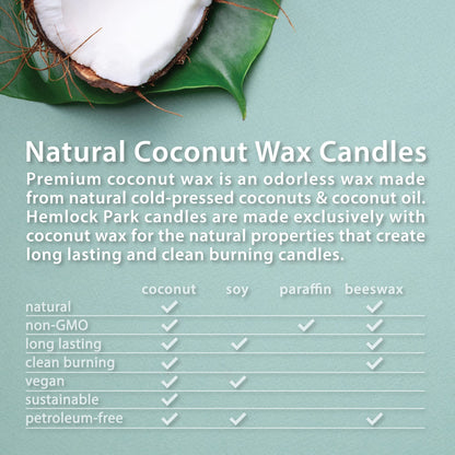Hemlock Park Bergamot Cedar Apothecary Hand-Poured Scented Candle | Crackling Wood Wick, Botanical Fragrance & Coconut Wax | Up to 60 Hour Burn Time | 8 oz