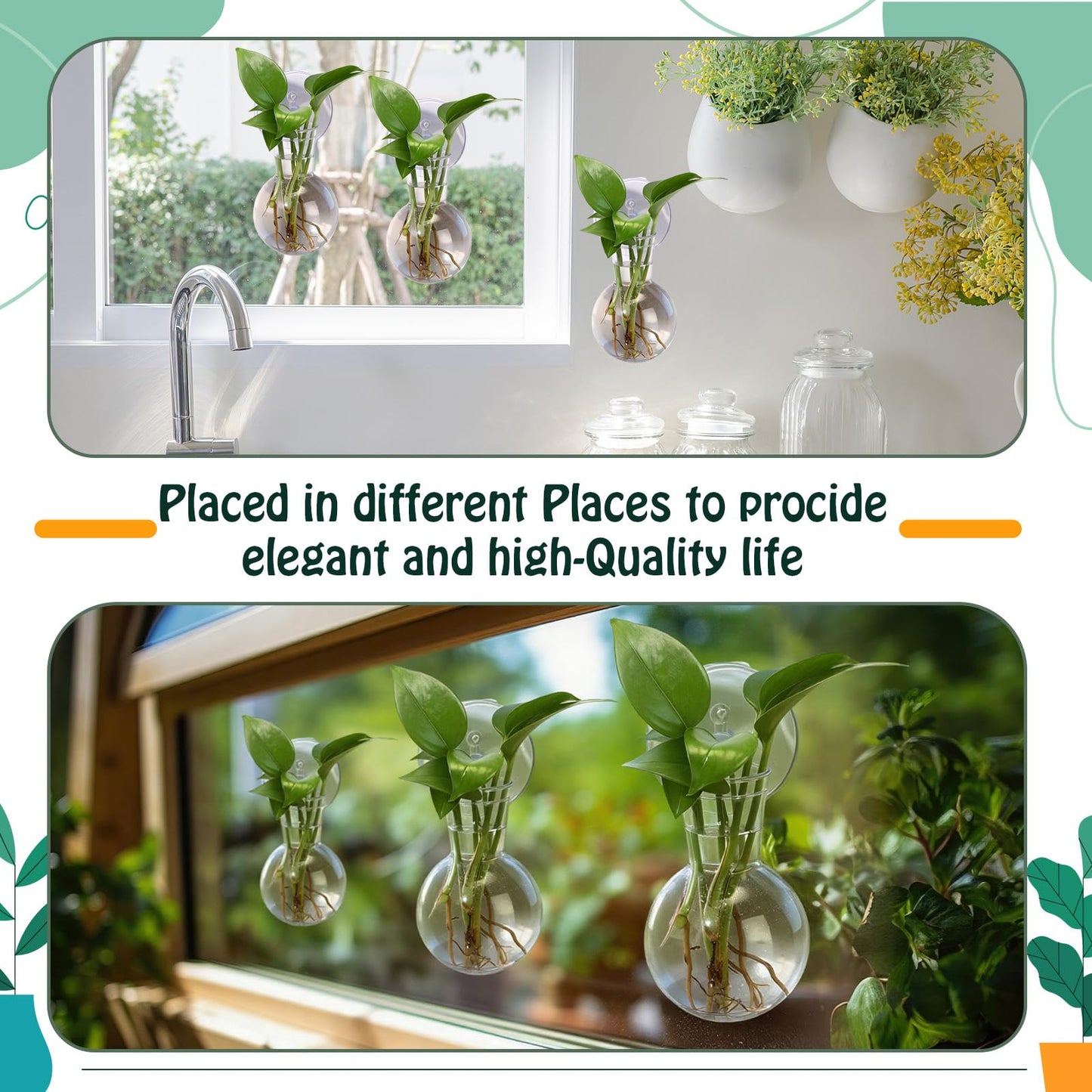 Baderke 6 Pack Window Propagation Stations Plastic Wall Hanging Planter with Suction Cups Brush Window Suction Plant Holder Vases Tubes Terrarium for Home Office Decor (Bulb)