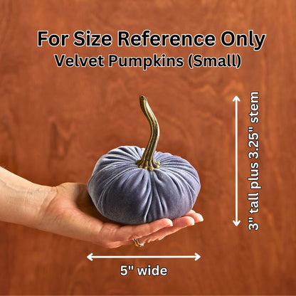 Your Heart's Content Set of 3 Small Velvet Pumpkins, Fall Wedding Centerpiece, Modern Rustic Farmhouse, Mantel Decor, Thanksgiving, Classic Gift (Sm Gray Taupe Ivory)