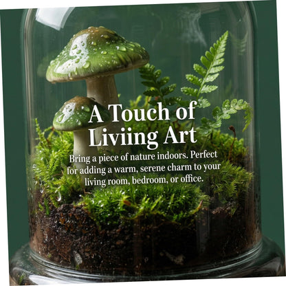 FONDOTIN Glass Terrarium Display Dome Moss Bottle for Plants Design with Opening for DIY Micro Landscapes and Home Decor