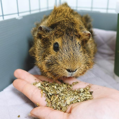 GuineaDad Organic Treat Sampler - Guinea Pig Herbal Treats - Guinea Pig Food in 6 Flavors - 6 Pack - Guinea Pig Treats Help with Bonding - High in Nutrition, No Preservatives, No Additives
