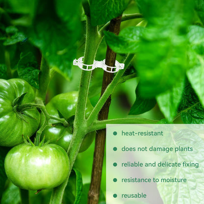300 Pcs Plant Clips for Climbing Plants, Tomato Clips for Support, Plastic Garden Clips for Plants Grape Vine Vegetables Make Plant Grow Upright