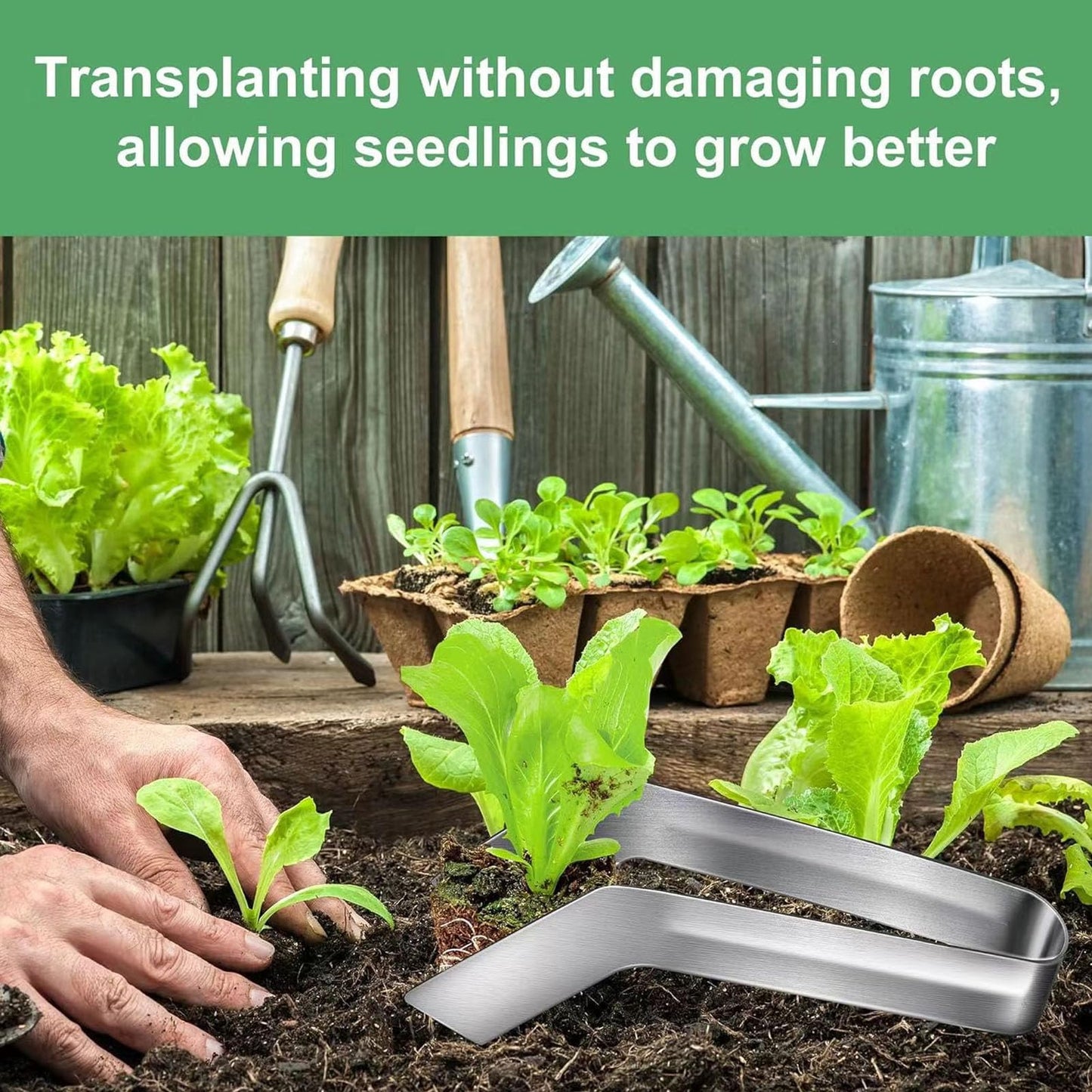 Locadence 2Pcs Seedling Transplant Tongs, Stainless Steel Gardening Plants Transplant Tong Plant, Seedling Transplanting Tool, Remove Transplant Plier for Reducing Root Damage