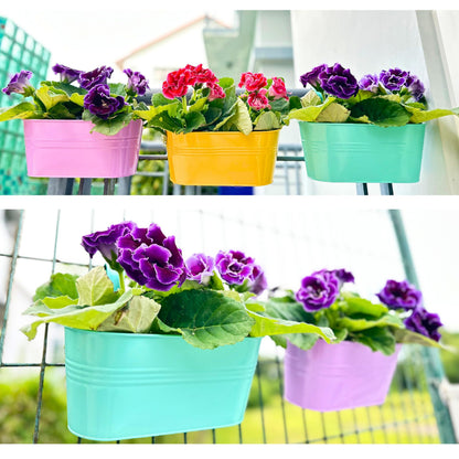 LaLaGreen Outdoor Hanging Planter (11.2 Inch, 6 Pack) Light Purple, Green, Yellow, Cadet Blue, Dark Pink, Red Metal Iron Window Box Flower Pot Deck Railings Balcony Fence Rail Porch Home Garden Decor