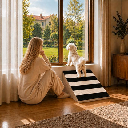 2 Pack Dog Ramp for Small Dogs, Solid Acacia Wood Pet Ramp with Non-Slip Carpet, 180 lbs Capacity, Gentle Slope Dog Stairs for Senior Dogs, Puppies & Cats, No Assembly Required