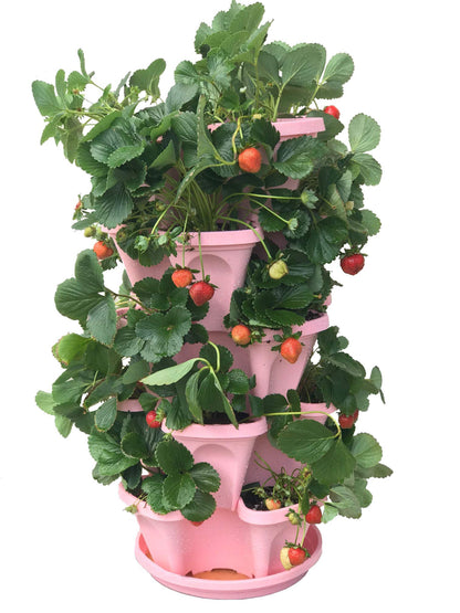 Mr. Stacky 5-Tier Pink Strawberry and Herb Garden Planter - Stackable Gardening Pots with 10 Inch Saucer