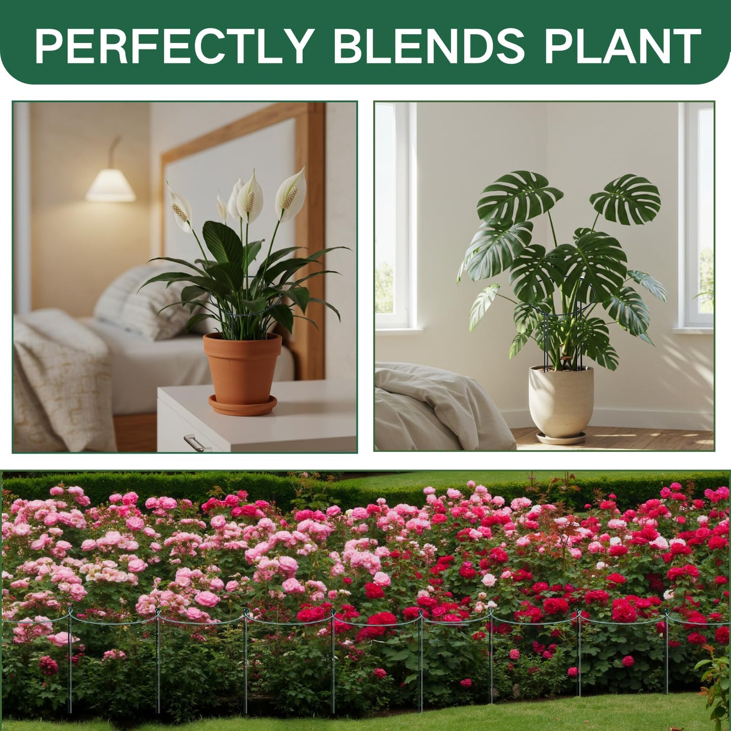 Tiuire 30in Tall Heavy-Duty Plant Support Stakes, 6 Pack Adjustable Peony Cages & Supports for Outdoor Plants, Large Garden Plant Stakes for Peony, Tomato, Hydrangea with Extension Stakes