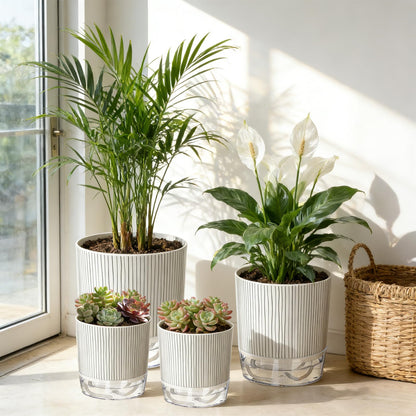Samhe 6 Pack Self Watering Pots for Indoor Plants, 4+5.5+6.3 Inch Self Watering Plant Pots Set, Flower Pots with Wick Rope and Reservoir for African Violet, Spider Plant, Orchid