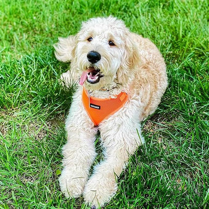 Voyager Step-in Pet Harness - All Weather Mesh, Adjustable Step in Harness for Cats and Dogs by Best Pet Supplies - Orange, S