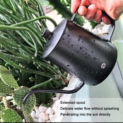 OFFIDIX Watering Can for Indoor Plants,Long Spout Metal Stainless Steel 21 oz Watering Can with 14 oz Glass Plant Mister Spray Bottle for Plant Bonsai