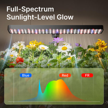 SUNCOZE Hydroponics Growing System Kit 12 Pods, 24W LED Grow Light Indoor Garden, 4L Water Tank with Quiet Pump, Adjustable Height Herb Garden Planter Indoor Kit, Gardening Gifts, Black