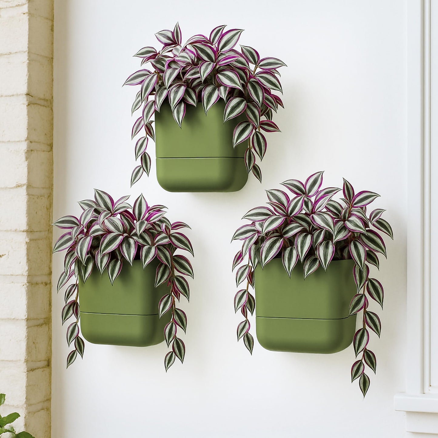 Phoenix Vine 6.5 Inch Wall Mounted Self-Watering Planter Pot for Indoor Houseplants and Herbs | Hanging Planter for Window Sills, Bathroom Walls, Home & Office Décor, Olive, Set of 3, 01-C-F-3