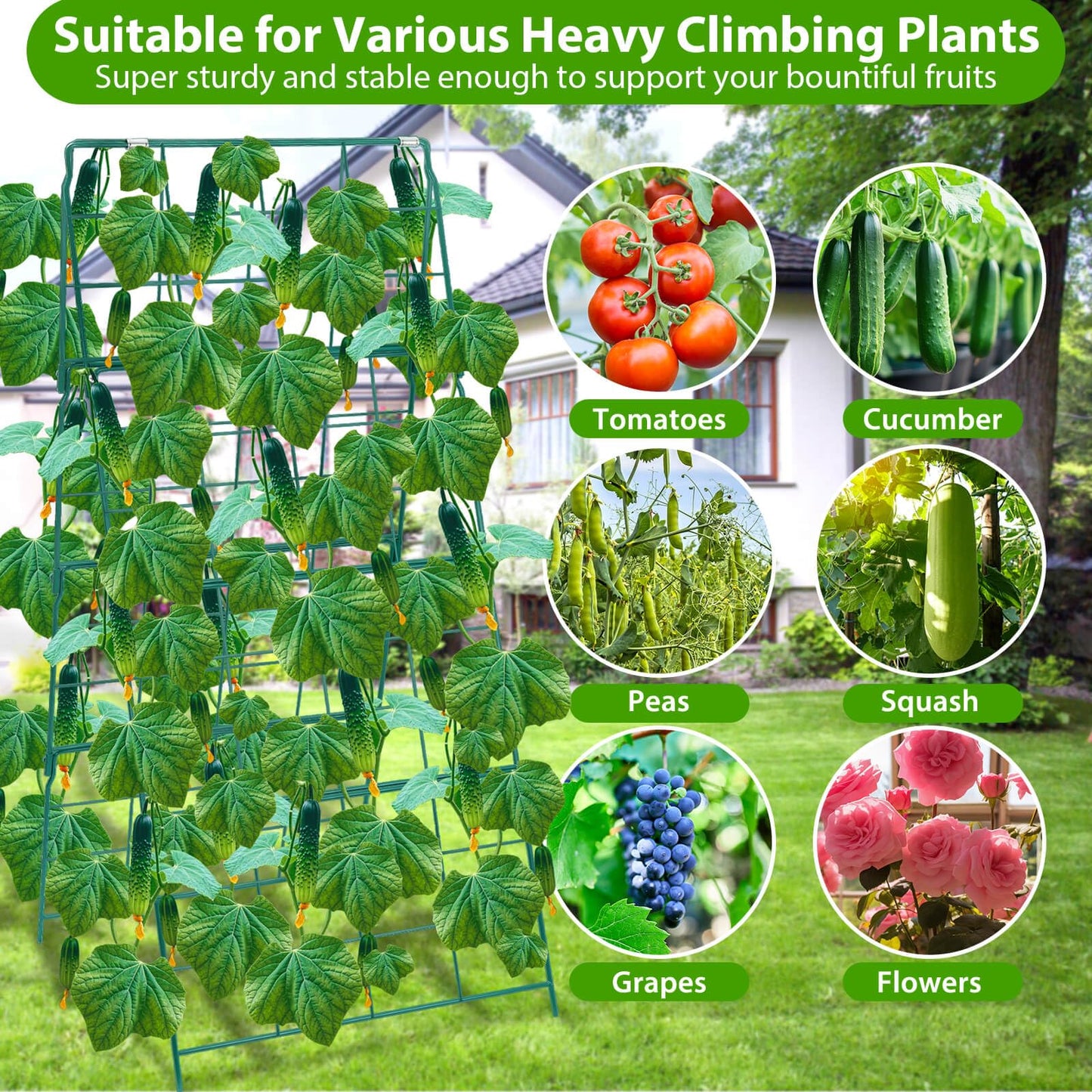 ROADPLUM 2 Pack Cucumber Trellis for Raised Garden Bed, Outdoor Sturdy Metal A-Frame Cucumber Trellis Support for Climbing Plants Vegetables with Accessories, Easy Installation & Easy Harvesting