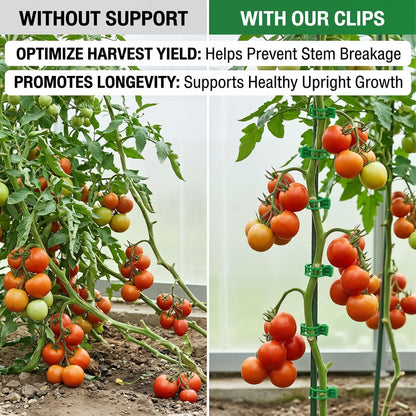 300Pcs Tomato Clips Plastic Plant Support Clips for Garden Trellis Twine and Greenhouse Vine Support Garden Clips for Tomatoes Cucumbers Peppers Climbing Vegetables and Flowers Upright Growth
