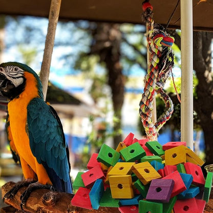 BESPORTBLE Bird Toy Parts, Pack of 100 Wood Blocks for Birds Multicolored Natural Wooden Blocks Bird Chewing Toy Mini Wood Chip Charms for DIY Playing Chewing Bird Toys