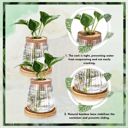 Baderke 12 Packs Propagation Vases for Plants Plastic Plant Propagation with Hole Lid and Bamboo Stand Growing in Water Hydroponic Home Office Desktop Vase Decoration