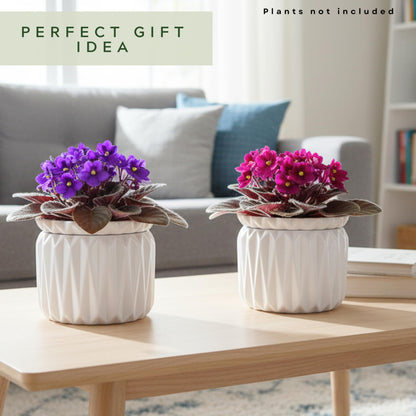Thriving Thicket 6 Inch African Violet Pots Self Watering, Ceramic Planter with Water Reservoir and Fill Lines, 4 Inch Opening, Indoor Flower Pot, Holds 3 Weeks of Water (2 Pack White)