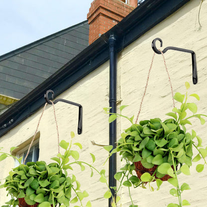 MOWPOG Plant Hangers Outdoor, 4 Pack 6 Inch Hanging Plants Bracket, Metal Hanging Hooks, Wall Hooks for Bird Feeder, Flower Basket, Wind Chimes, Indoor Outdoor (Black)