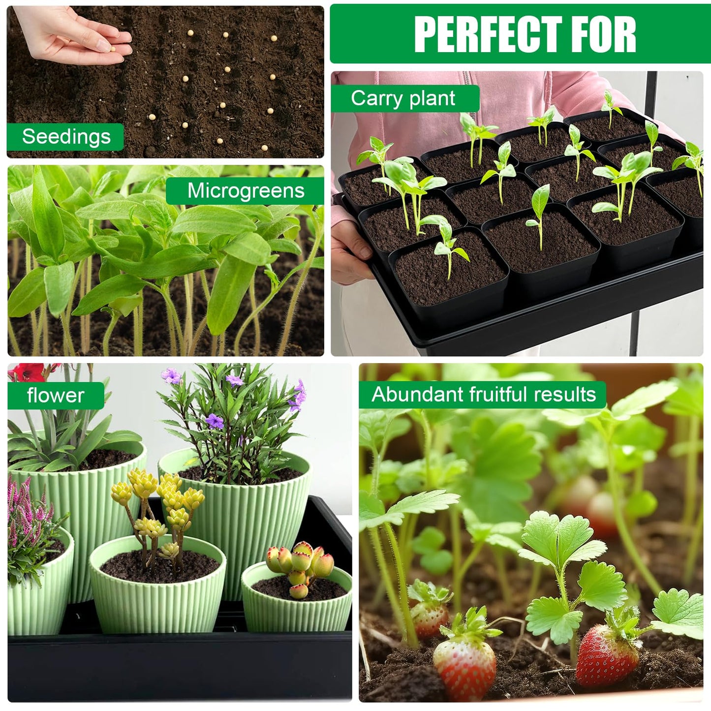 RooTrimmer Seed Starter Tray, 10 Packs Plant Tray, Durable Plastic Growing Trays, Stackable Seedling Starter Trays Perfect for Indoor, Outdoor, Greenhouses, 16.5" L x 13.2" W x 2.8" H - Black