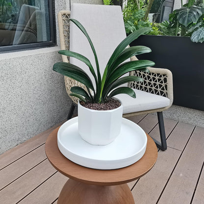 Fzfeiyy Plant Saucer for Indoors - 12 Inch Ceramic Plant Saucer Plant Water Catcher Tray Plant Pot Saucer Plant Drainage Tray, Durable Sturdy Flower Pot Saucers (Frosted White)