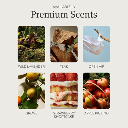 Drift Home Scent Diffuser Refills – Forest Walk (2 Pack) - Long-Lasting Home Diffuser - Clean Fragrance - Non-Toxic - Pet-Safe - Device Not Included