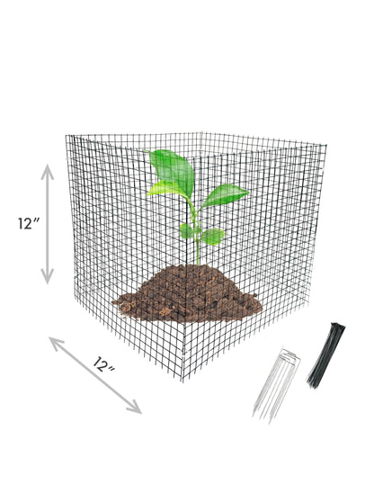6 New Small Wire Plant Protectors, 12" Square, 12" high (Vinyl Coated Rust Resistant Wire)