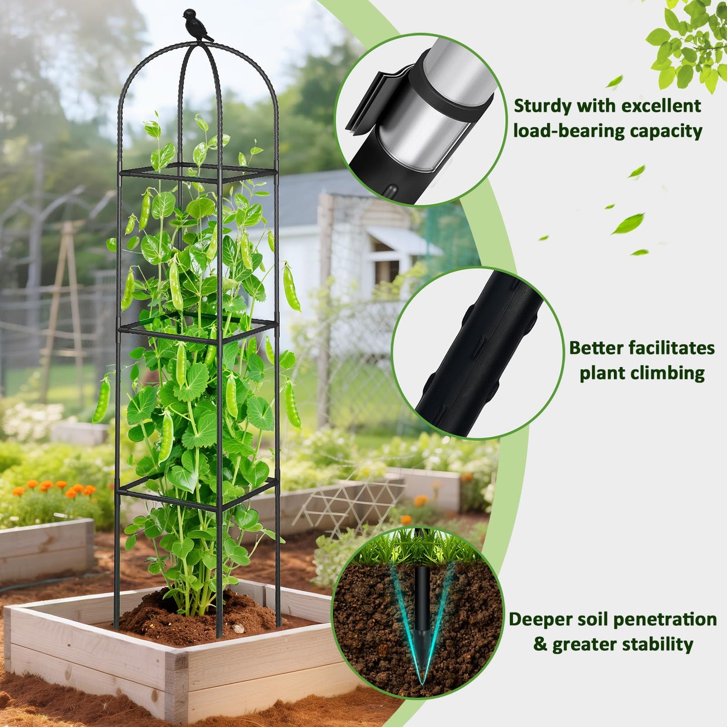 Square Tomato Cages for Garden, 6.2 FT Cucumber Trellis for Flowers, Grape, Pea, Rose, Bean, Rustproof Plastic Coated Metal Plant Support for Potted Plants Indoor Outdoor- 1PC Obelisk Trellis