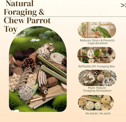 Wooden Foraging Box for Cage with 30PCS Natural Foraging & Chew Parrot Toy for Parakeets, Cockatiels, Conures & Lovebirds and Other Small to Medium Birds