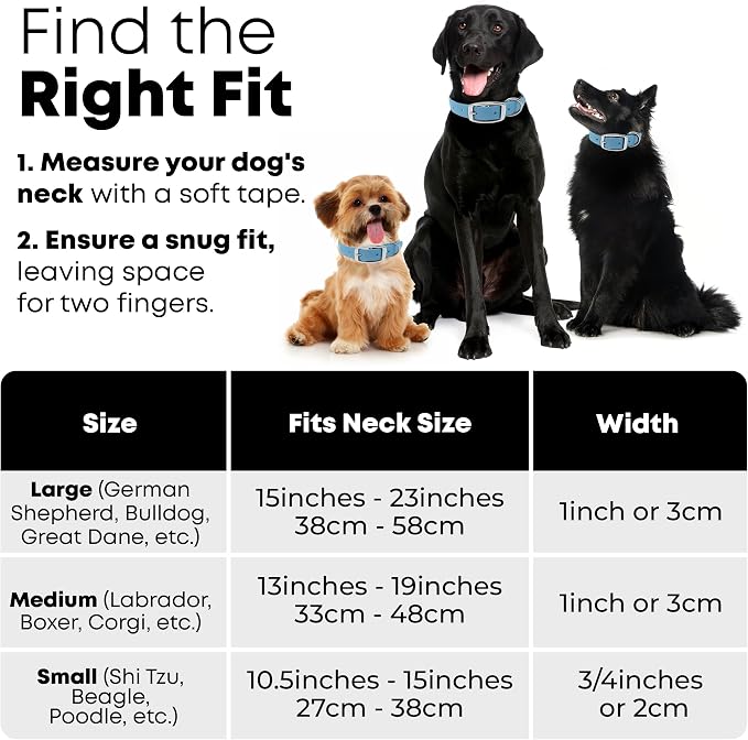 Regal Dog Products Small Light Blue Dog Collar with Heavy Duty Double Buckle & D Ring | Vinyl Coated, Custom Fit, Adjustable Biothane Dog Collar Chew Resistant Waterproof Collar for Dogs