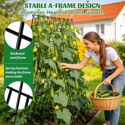 DOLEMODUO 2 Pack Cucumber Trellis, 60inch A-Frame Rustproof Steel Wire Garden Trellis for Raised Beds, Heavy Duty Climbing Plants Supports for Cucumber,Tomato, Climbing Plants and Flowers